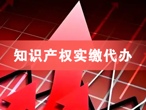 禹州知识产权实缴资本代办